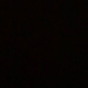 Meet your Posher, Bailey